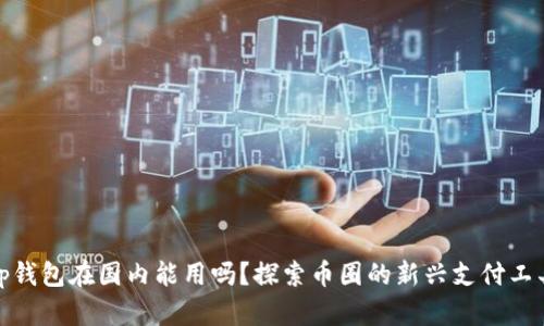 Tp钱包在国内能用吗？探索币圈的新兴支付工具